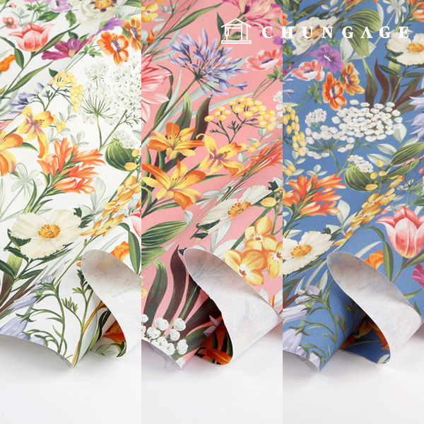 オックスフォード生地 コットン 20 カウント 環境にやさしい DTP 広幅エロイズ 3種