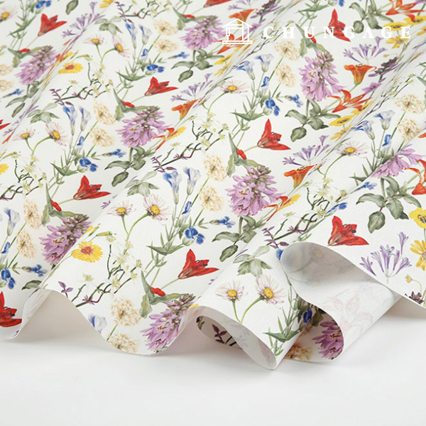 オックスフォード生地コットン20カウントエコフレンドリーDTP広幅アティランスMOX1436