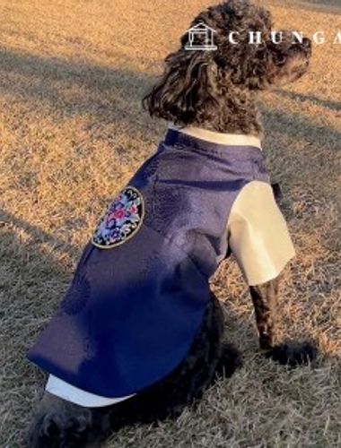 子犬の服を作るパタン男の子犬ペット犬ハンボックパタンP1691