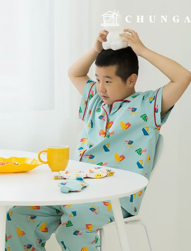 綿生地 パタン生地20カウント 平織り生地 ユニークボート350