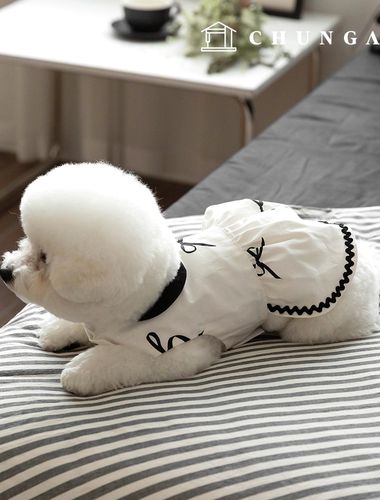 綿生地リボン生地20カウントサロンデリボン384