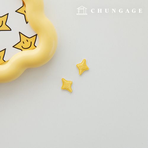 熱接着とペンキラキラ飾りパッチ2個入り