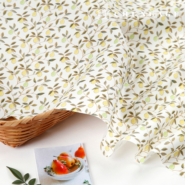 環境にやさしい抗菌抗炎症団E-DTPコットン20カウントクイーンズアトリエ