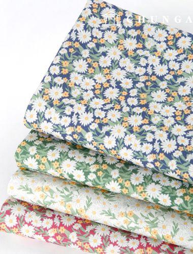 環境にやさしい抗菌抗炎症団E-DTPコットン20カウントエデリン4種