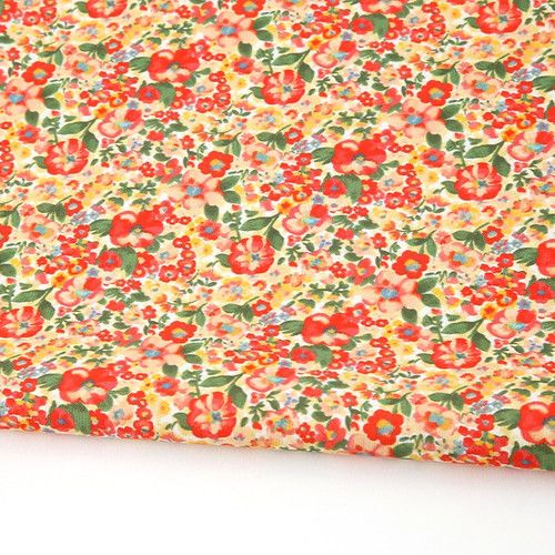 環境にやさしい抗菌抗炎症団E-DTPコットン20カウントスプリングメドウ