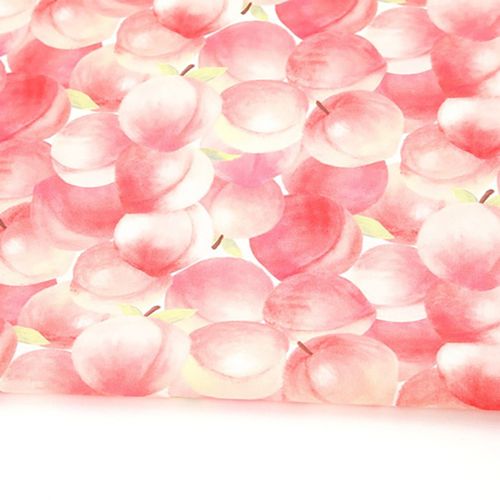 環境にやさしい抗菌抗炎源団E-DTPコットン20カウントマラン桃色