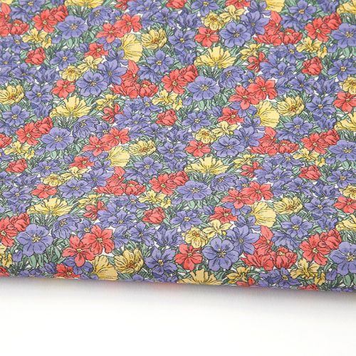 環境にやさしい抗菌抗炎症団E-DTPコットン20カウントアルモニー